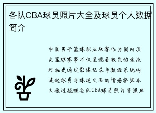 各队CBA球员照片大全及球员个人数据简介